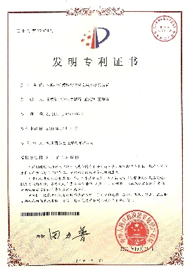 双偏心轮式推拉脉动送丝方法及装置